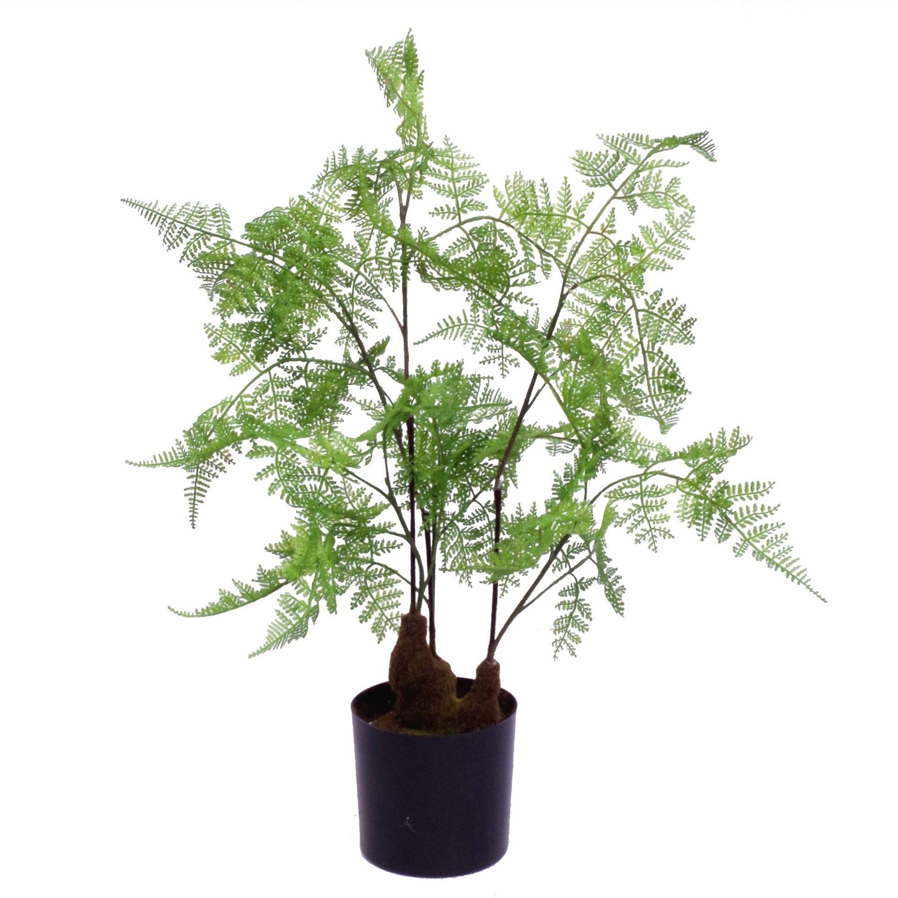 60cm Lush Natural Moss Fern - Realistic Artificial Foliage for Home Decor - plants - express.com