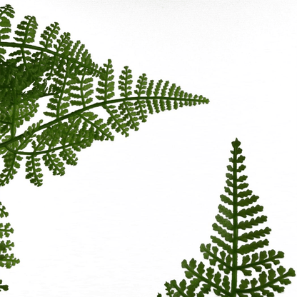 60cm Lush Natural Moss Fern - Realistic Artificial Foliage for Home Decor - plants - express.com