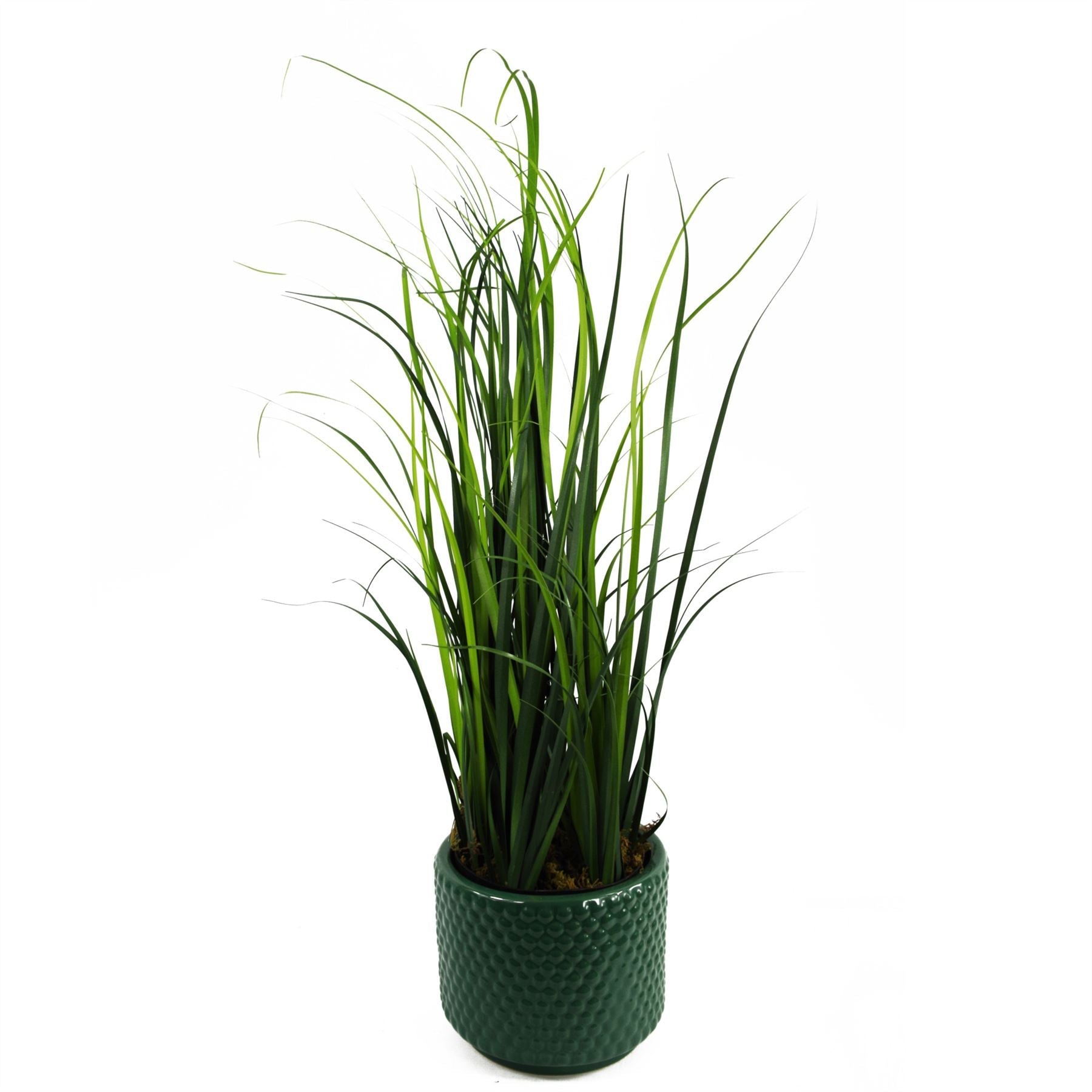60cm Realistic Artificial Lemongrass Plant – Perfect for Any Indoor Space! - plants - express.com