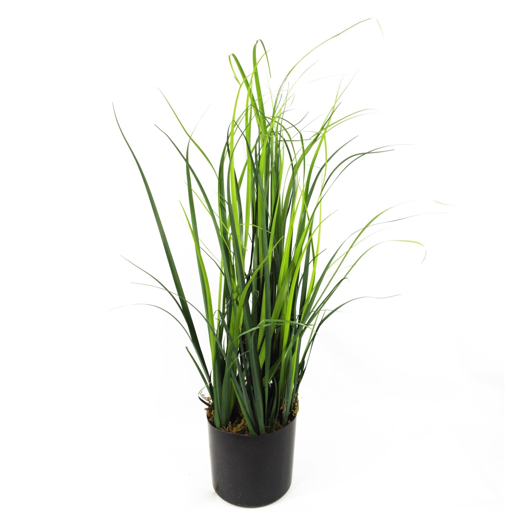 60cm Realistic Artificial Lemongrass Plant – Perfect for Any Indoor Space! - plants - express.com