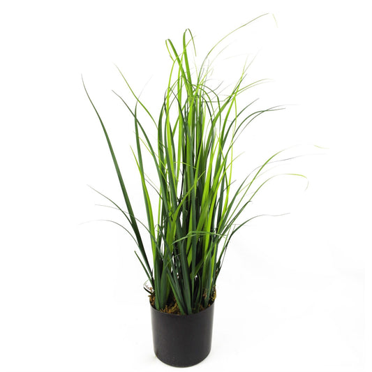 60cm Realistic Artificial Lemongrass Plant – Perfect for Any Indoor Space! - plants - express.com