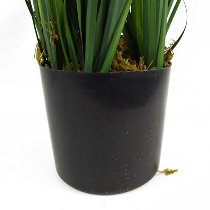 60cm Realistic Artificial Lemongrass Plant – Perfect for Any Indoor Space! - plants - express.com