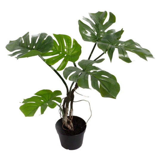 60cm Realistic Artificial Monstera Cheese Plant - Lush Green Decorative Accent - plants - express.com