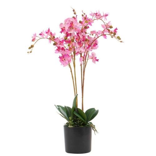 60cm Realistic Artificial Phalaenopsis Orchid in Elegant Pot by Leaf Design UK - plants - express.com
