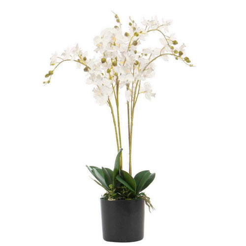 60cm Realistic Phalaenopsis Orchid - Lifelike Potted Artificial Flower Display - plants - express.com