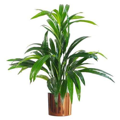 65cm Realistic Artificial Bamboo Plant with Stylish Copper Metal Planter - plants - express.com