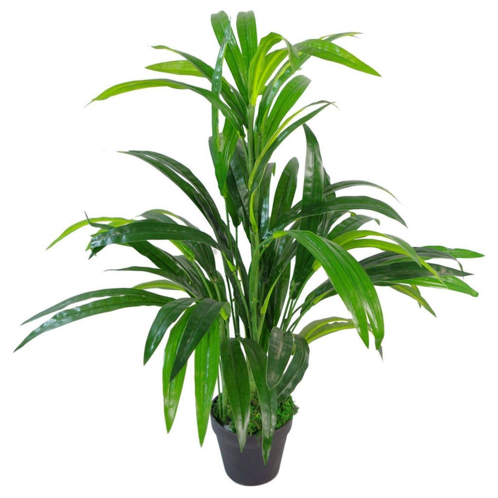 65cm Realistic Leaf Design Artificial Plant - Lush Foliage for Stylish Spaces - plants - express.com