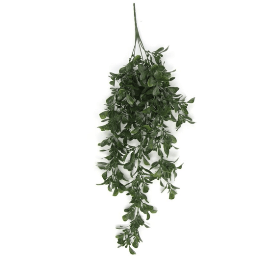 68cm UV & Fire Resistant Hanging Artificial Peperomia - Effortless Elegance! - plants - express.com