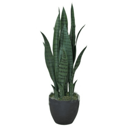 70cm Dark Green Artificial Sansevieria - Effortless Elegance for Every Space - plants - express.com