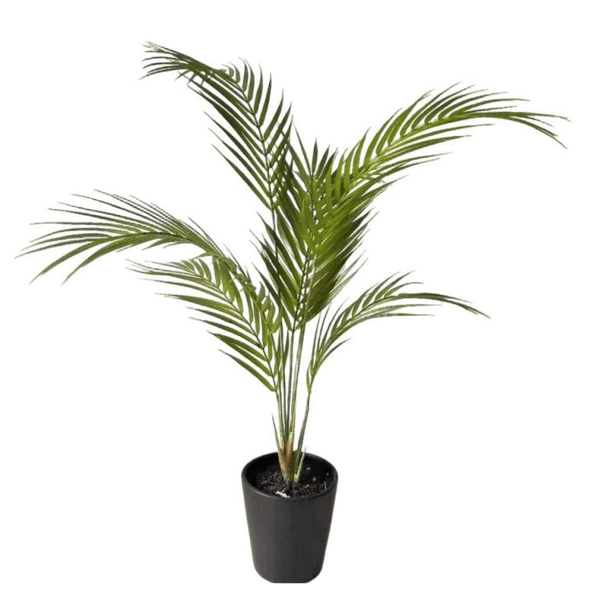 70cm Lush Artificial Areca Palm Tree – Effortless Tropical Elegance - plants - express.com