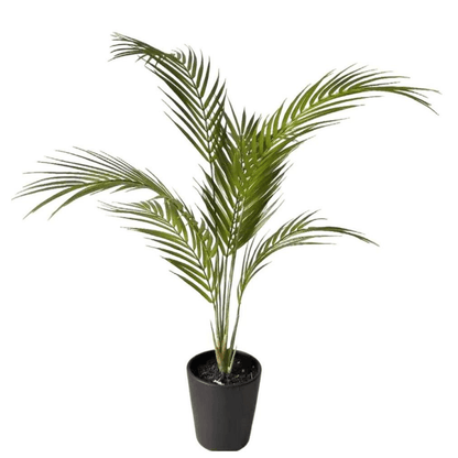70cm Lush Artificial Areca Palm Tree – Effortless Tropical Elegance - plants - express.com