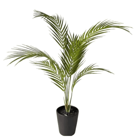 70cm Lush Artificial Areca Palm Tree – Effortless Tropical Elegance - plants - express.com