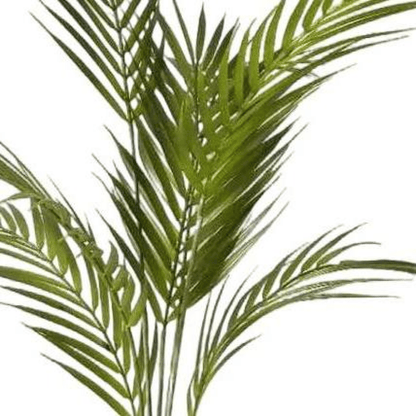 70cm Lush Artificial Areca Palm Tree – Effortless Tropical Elegance - plants - express.com