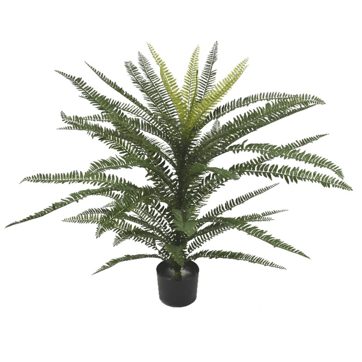 75cm Fire - Resistant Boston Fern - Lush Greenery, No Maintenance Needed! - plants - express.com