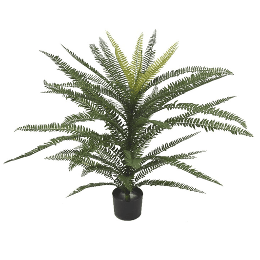 75cm Fire - Resistant Boston Fern - Lush Greenery, No Maintenance Needed! - plants - express.com