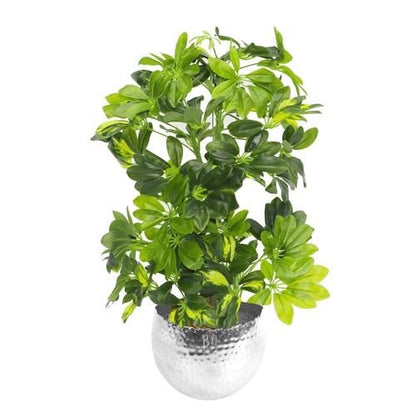 75cm Lifelike Gold Capella Plant in Elegant Silver Metal Planter - plants - express.com