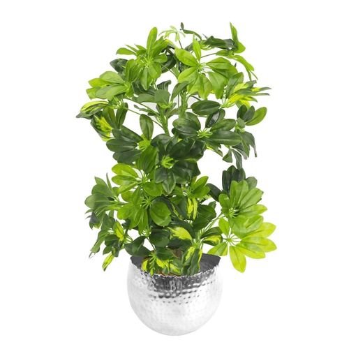 75cm Lifelike Gold Capella Plant in Elegant Silver Metal Planter - plants - express.com