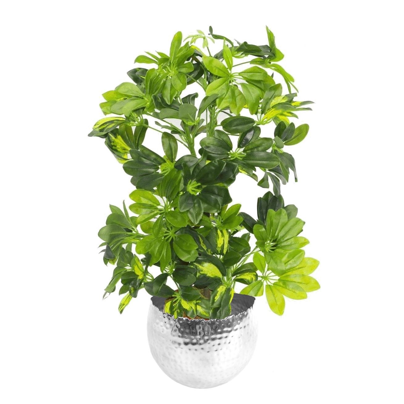 75cm Lifelike Gold Capella Plant in Sleek Silver Metal Planter - Stunning Decor - plants - express.com