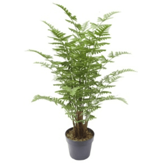 75cm Lush Green Artificial Fern - Effortless Elegance for Any Space! - plants - express.com