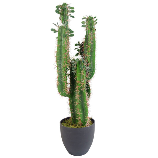 75cm Lush Premium Artificial Cactus in Stylish Weighted Pot – Perfect Décor! - plants - express.com