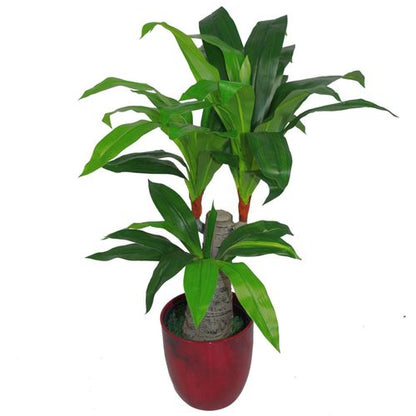 75cm Lush Triple - Branch Artificial Dracaena Plant - Perfect for Any Space! - plants - express.com