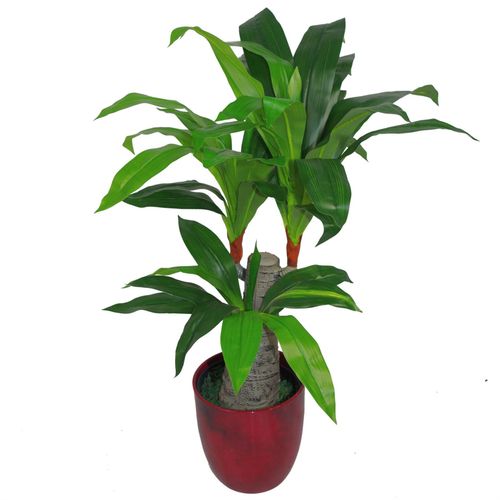 75cm Lush Triple - Branch Artificial Dracaena Plant - Perfect for Any Space! - plants - express.com