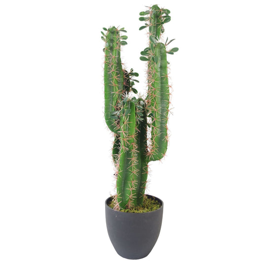 75cm Premium Potted Artificial Cactus - Stunning Faux Plant for Exotic Décor - plants - express.com