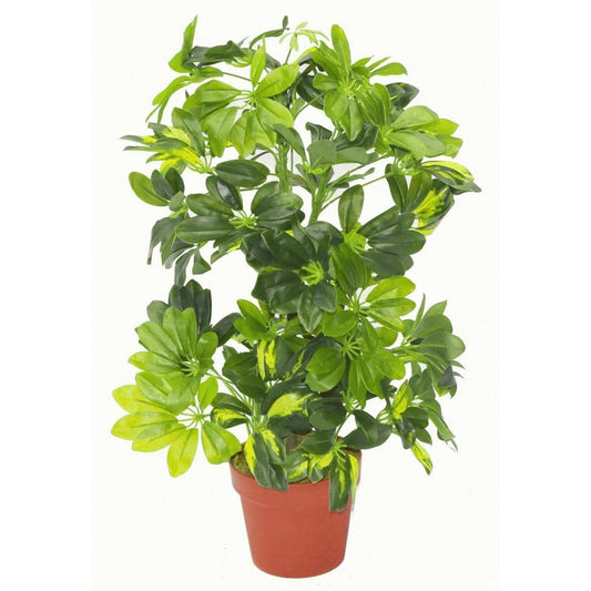 75cm Realistic Artificial Gold Capella Arboricola - Safe & Stunning Home Décor - plants - express.com