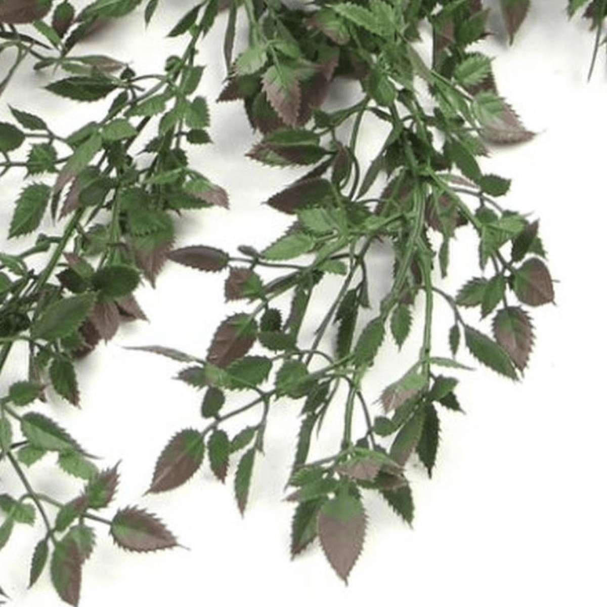 76cm UV & Fire Resistant Hanging Artificial Angel Fern - Lush Green Elegance - plants - express.com