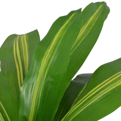 90 cm Lifelike Artificial Dracaena Plant in Stylish Pot - Green Elegance - plants - express.com