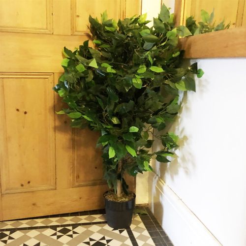 90cm Artificial Ficus Tree Bush - Large Bushy Plant - plants - express.com