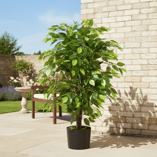 90cm Artificial Ficus Tree / Plant - Large Bushy Shape - plants - express.com