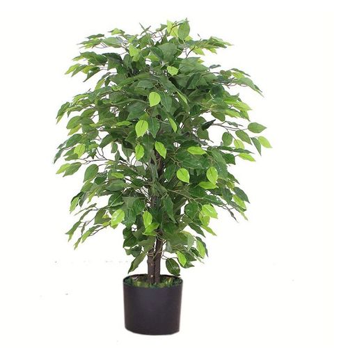 90cm Artificial Ficus Tree / Plant - Large Bushy Shape - plants - express.com