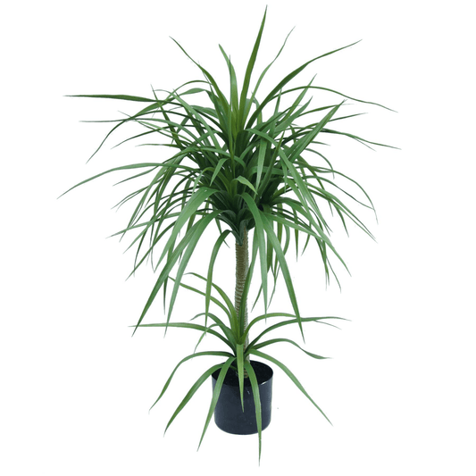 90cm Lifelike Artificial Dracaena Plant - Effortless Greenery for Any Space - plants - express.com