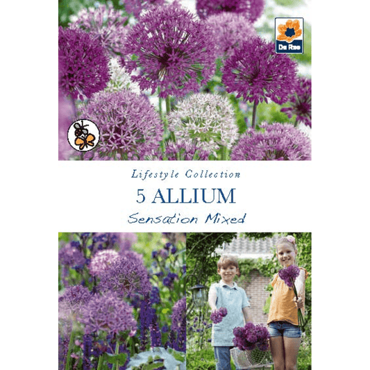 Allium Sensation Mixed Bulbs - Bold Globe - Flowers (5) - plants - express.com