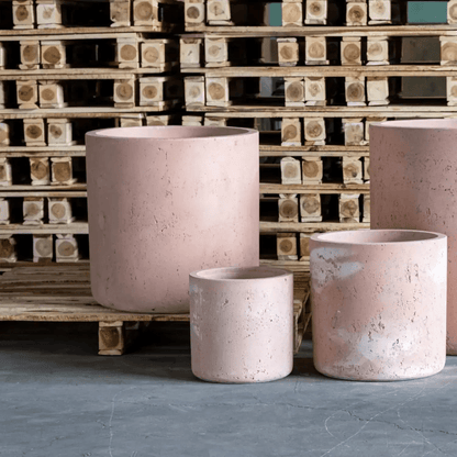 Aurella Blushstone: Extra Large 55cm Concrete Cylinder Planter - 93L Capacity - plants - express.com