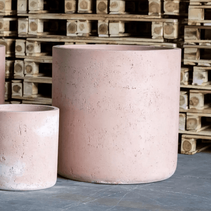 Aurella Blushstone: Extra Large 55cm Concrete Cylinder Planter - 93L Capacity - plants - express.com