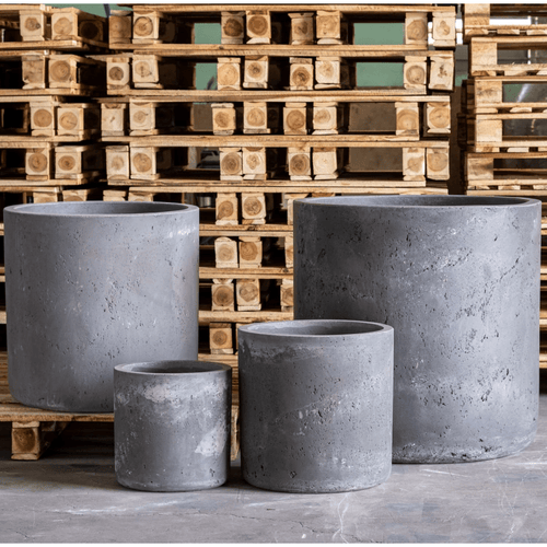 Aurella Onyx Dusk | 40cm Large Concrete Cylinder Planter for Modern Greenery - plants - express.com