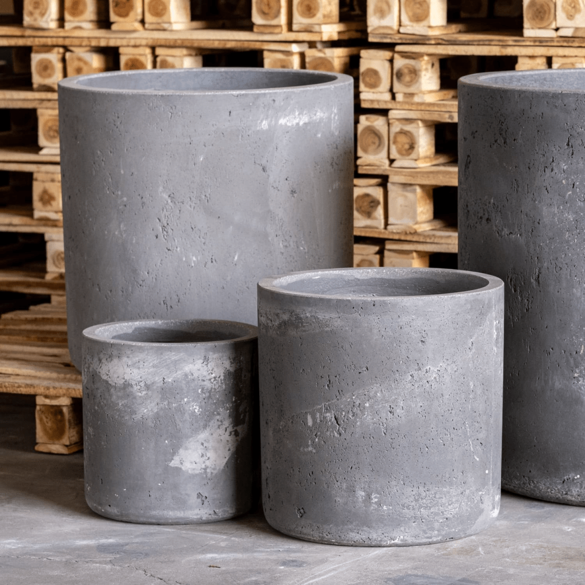 Aurella Onyx Dusk | 70cm XL Concrete Cylinder Planter - 199L Masterpiece - plants - express.com