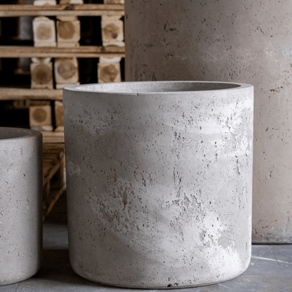 Aurella Truffle Concrete Cylinder Planter – 13L for Herbs & Succulents - plants - express.com