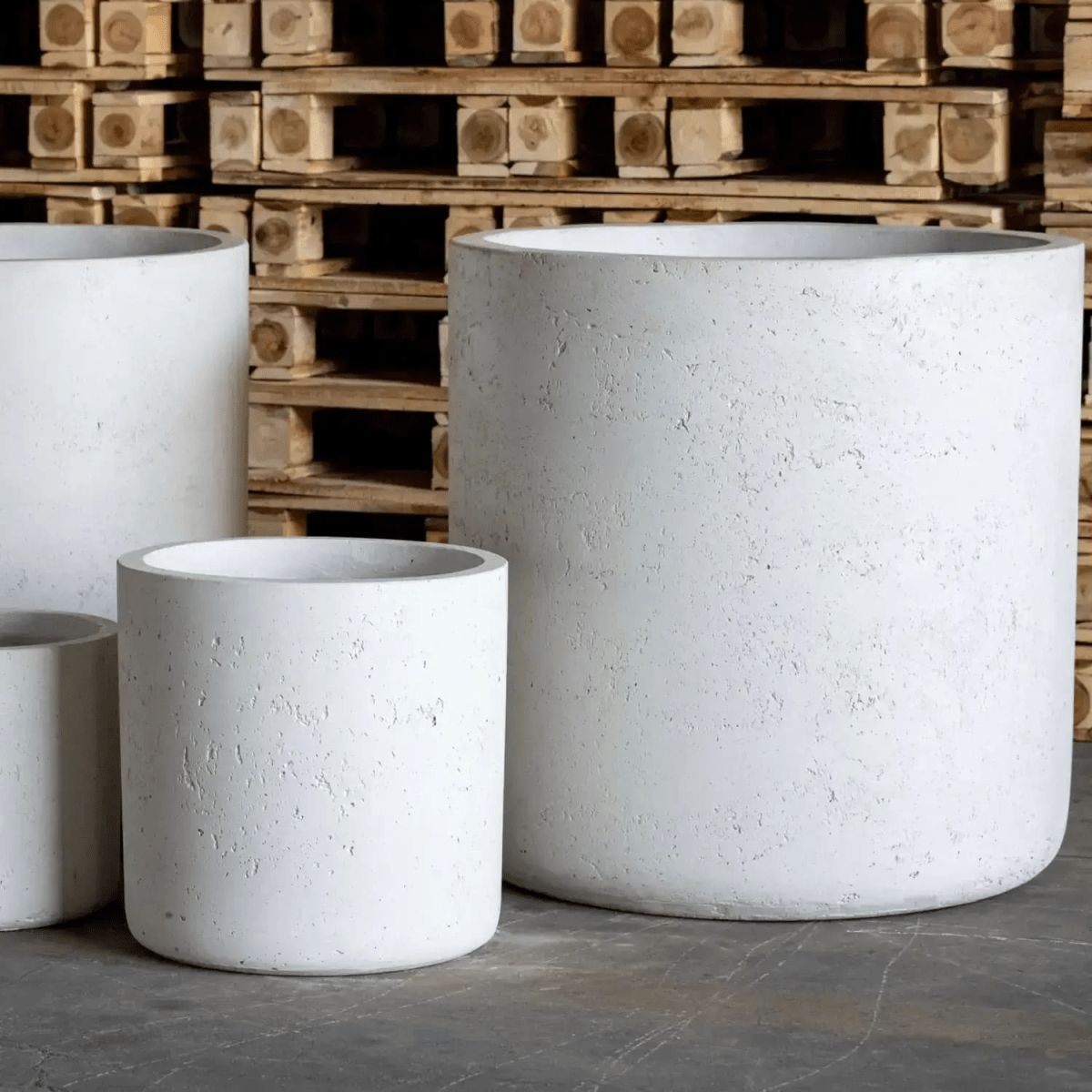 Aurella White Mist | 30cm Concrete Cylinder Planter – Stylish, Durable & Versatile - plants - express.com