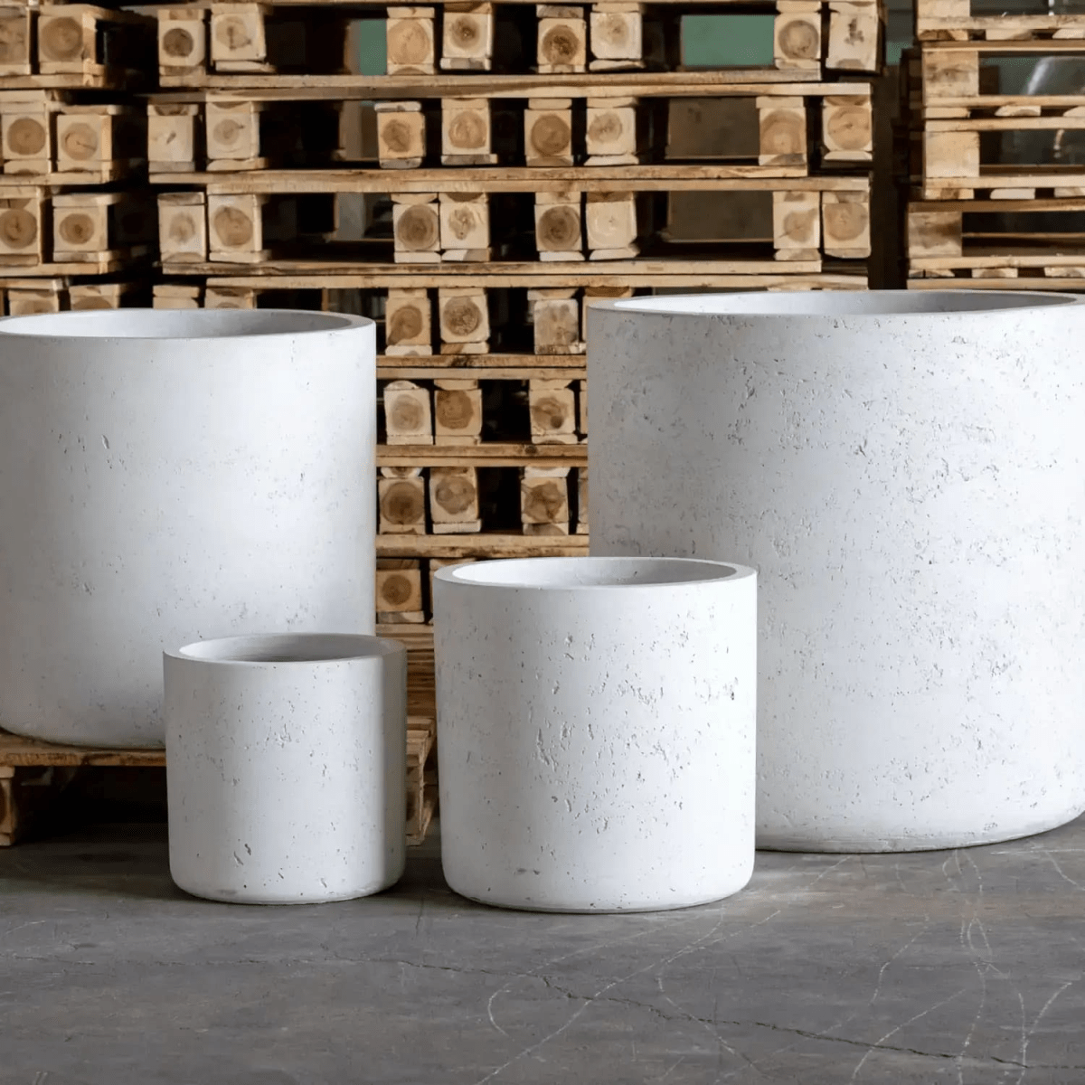 Aurella White Mist | 30cm Concrete Cylinder Planter – Stylish, Durable & Versatile - plants - express.com