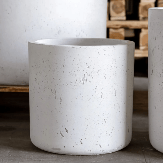 Aurella White Mist | 30cm Concrete Cylinder Planter – Stylish, Durable & Versatile - plants - express.com