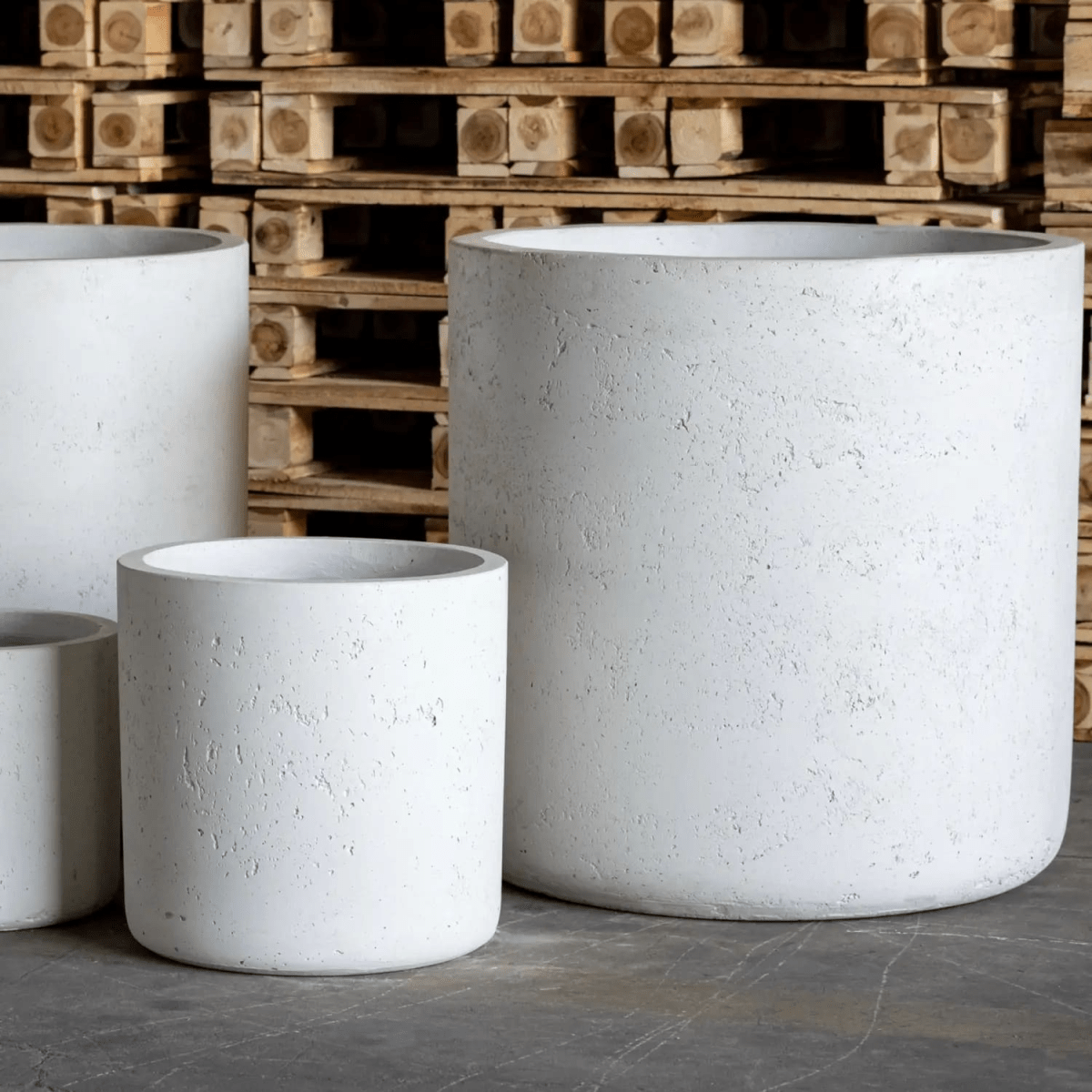 Aurella White Mist: 85cm Extra Large Concrete Cylinder Planter for Stunning Greens - plants - express.com