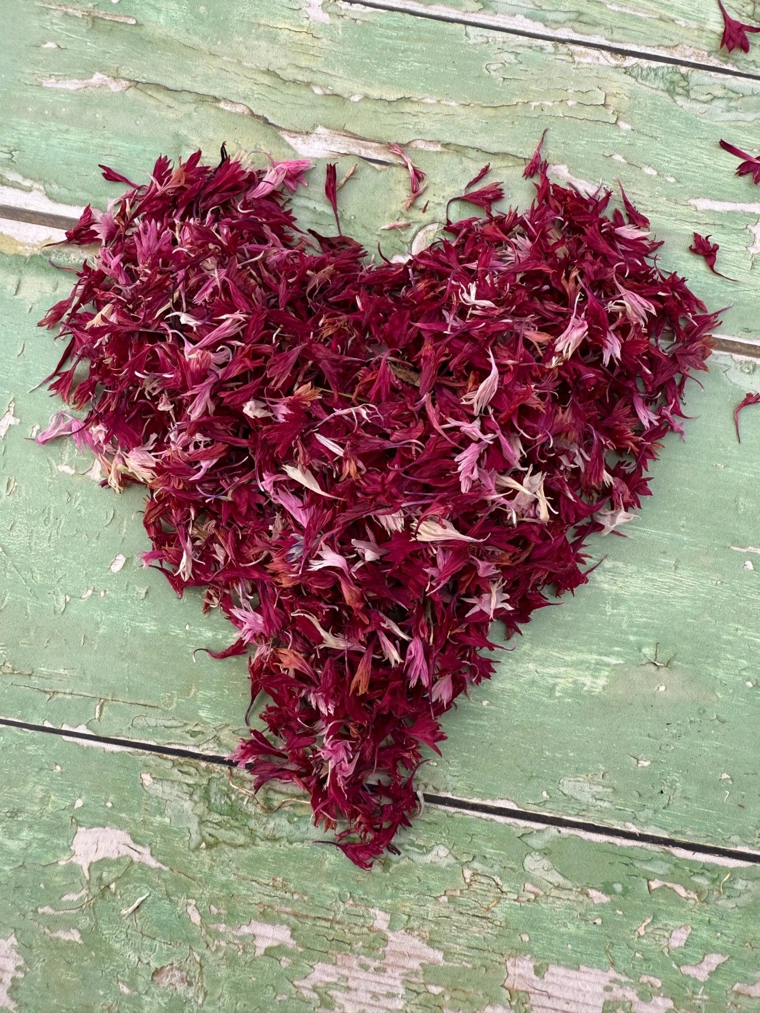 Bag of Flower Petals 4g - plants - express.com