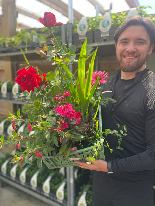 Bloom Box Bliss: Year - Round Plant Subscription with Free Delivery! - plants - express.com