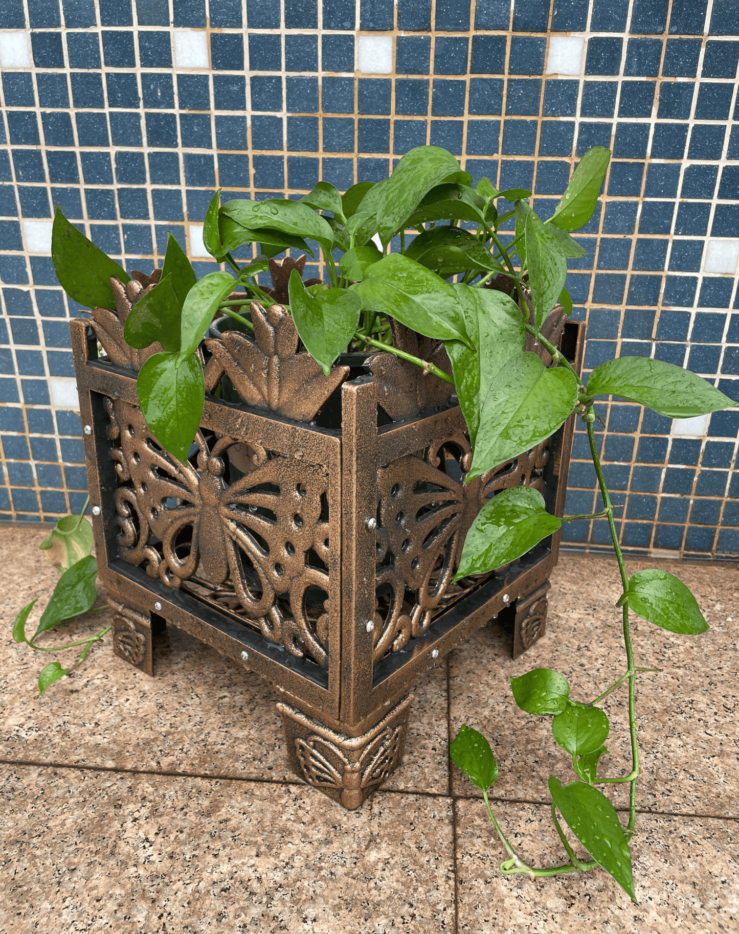 Bronze Butterfly Planter Rack - Elegant Garden Wall Display - plants - express.com