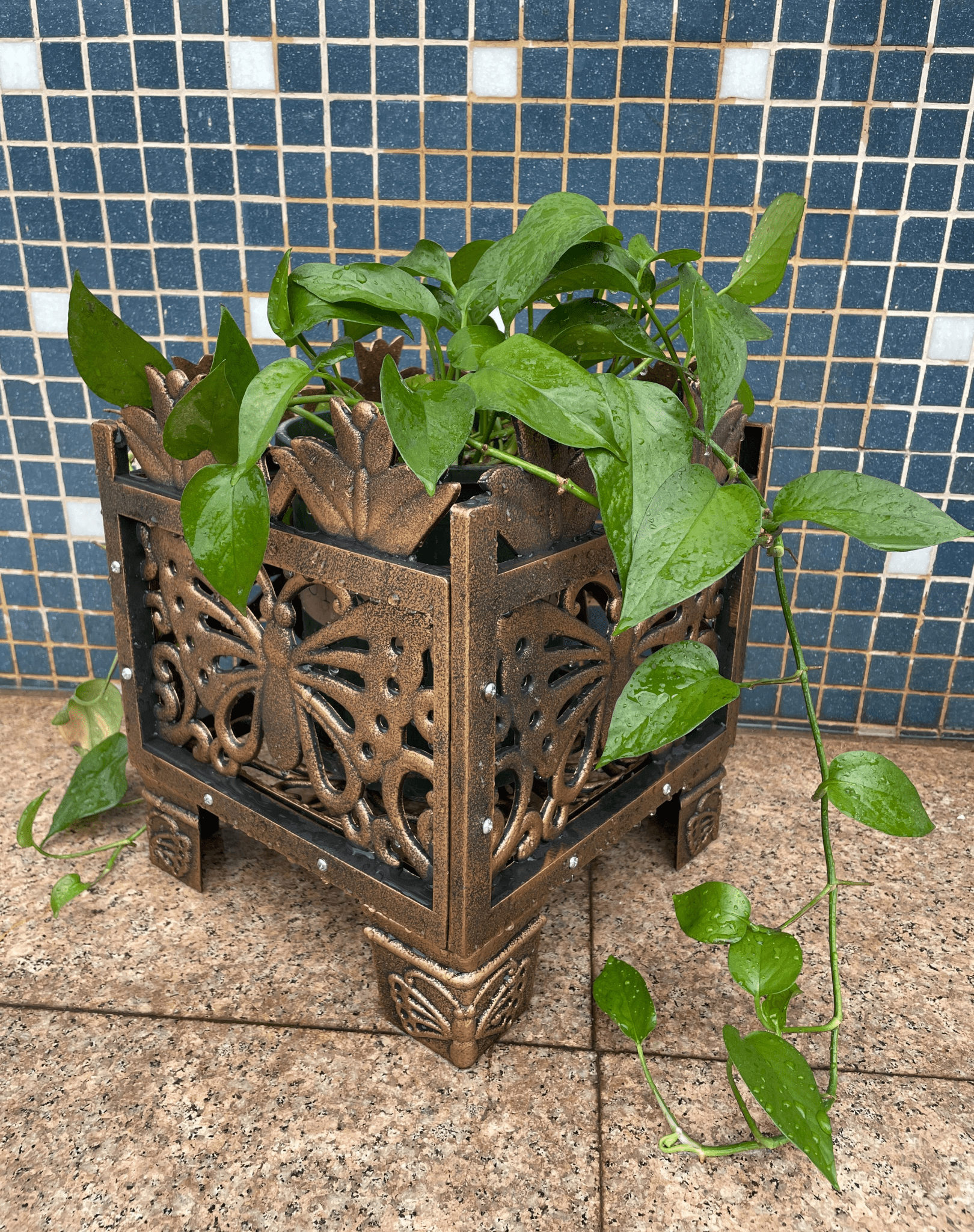 Bronze Butterfly Planter Rack - Elegant Garden Wall Display - plants - express.com