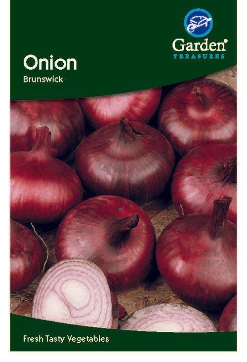 Brunswick Red Onion Seeds - Perfect for Salads & Cooking - 226 Count - plants - express.com