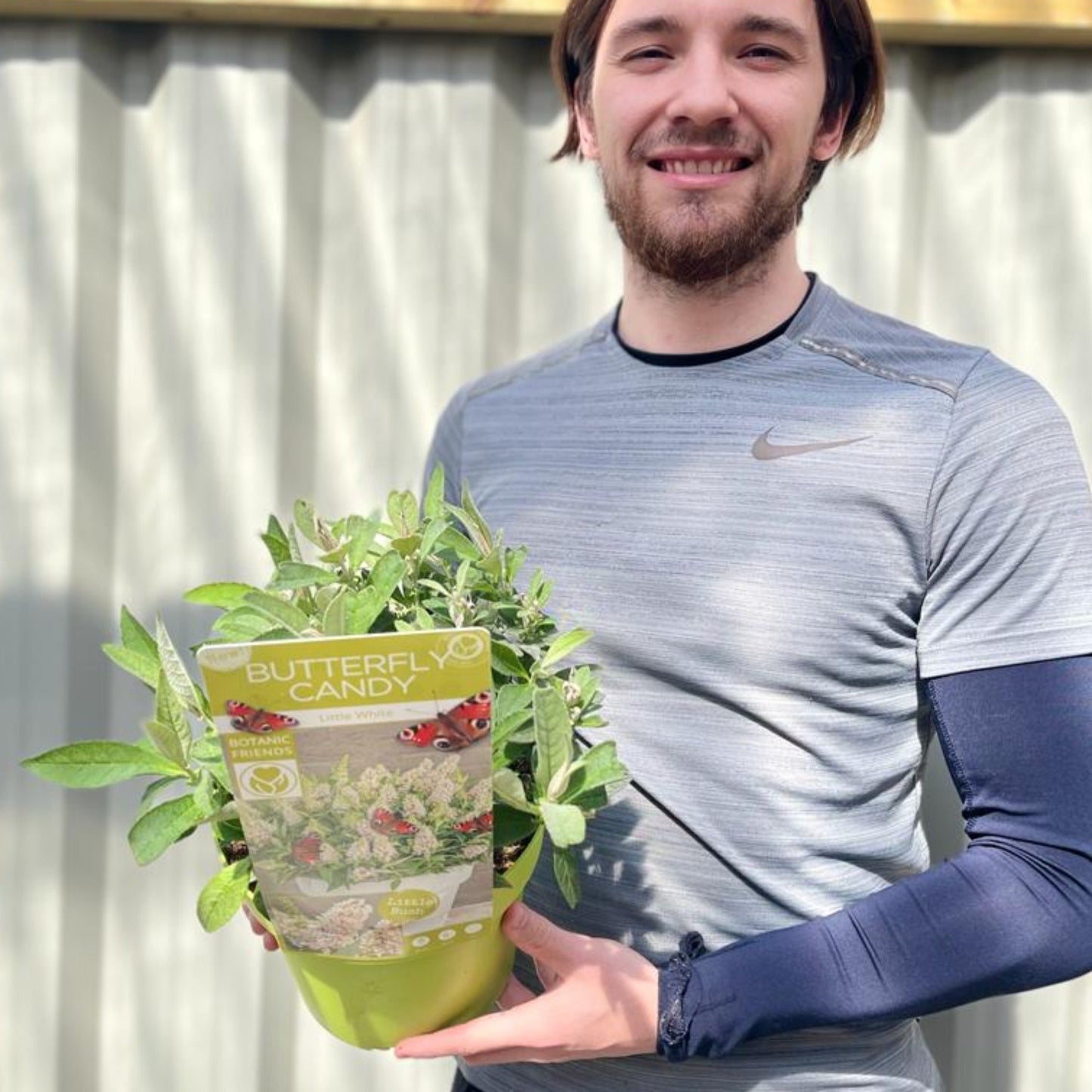 Buddleja Butterfly Candy 'Little White' Compact Sun - Loving 1/3L - plants - express.com
